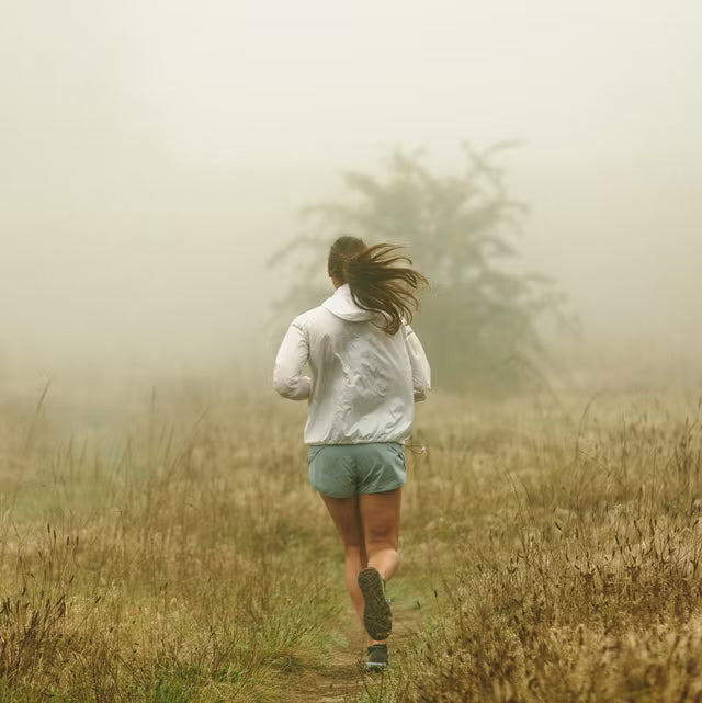 Running Coaching at Running Bear | Personalised Plans & Expert Support