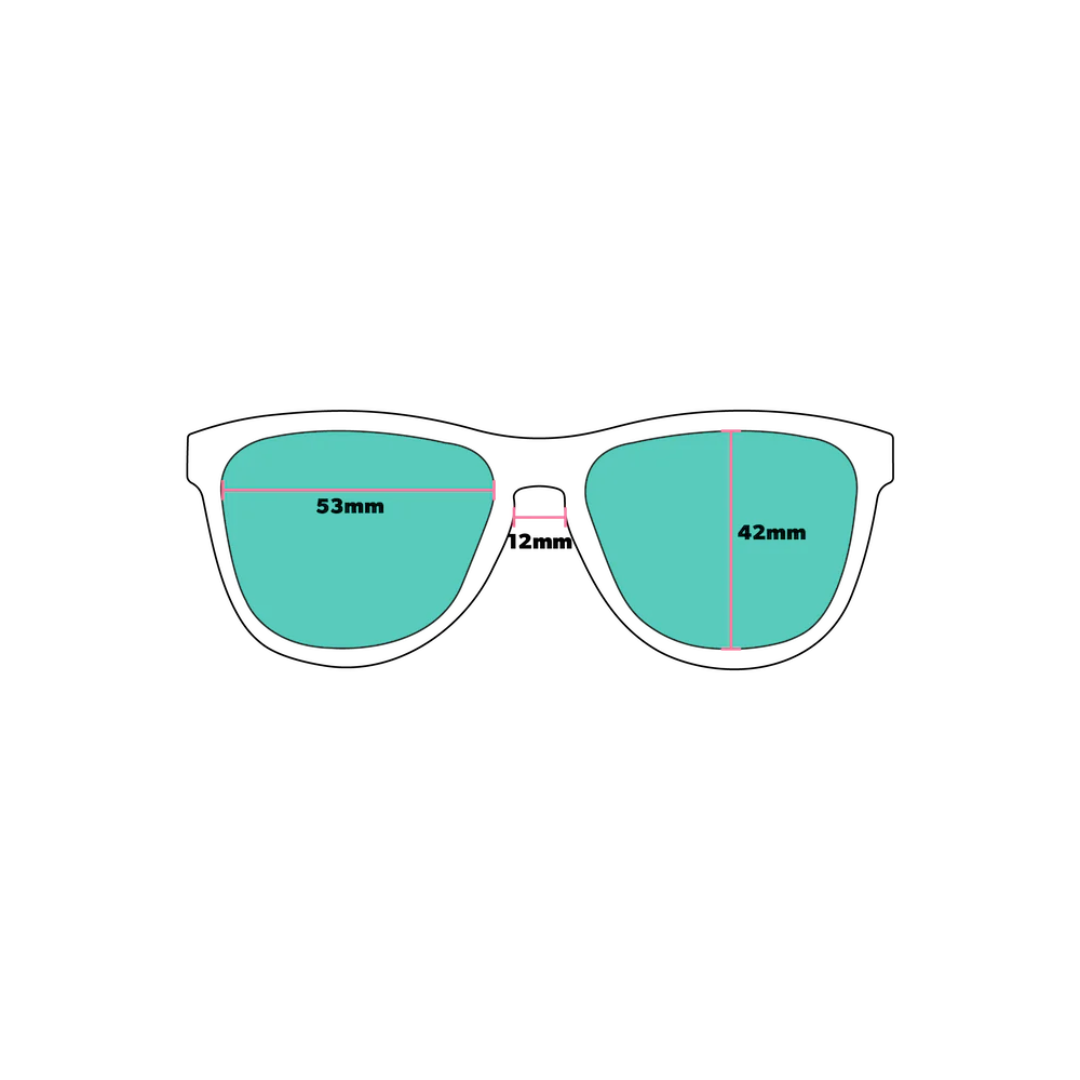 GoodrSunglasses FlamingosonaBoozeCruise4