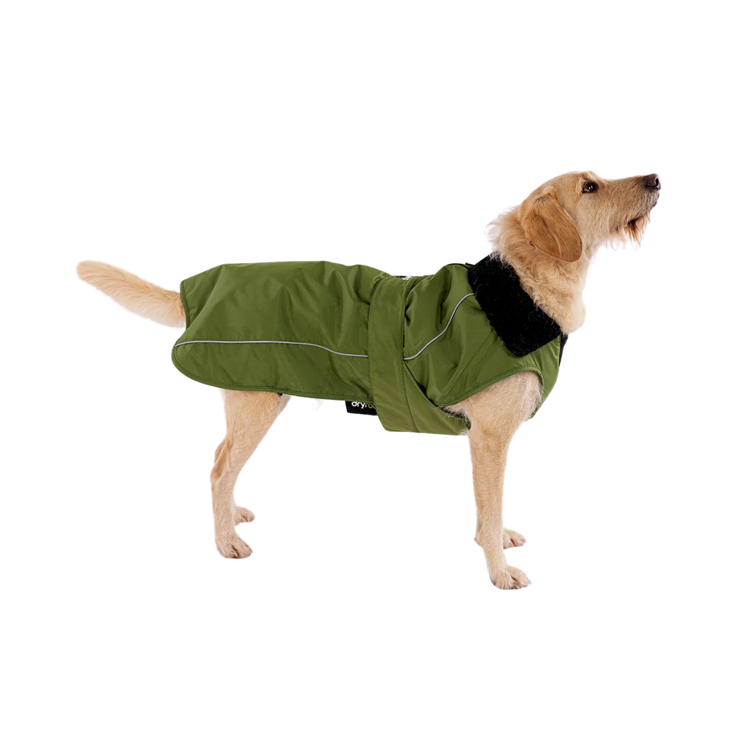 Dryrobe Dog