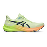 ASICS Mens GT-2000 12