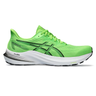 ASICS Mens GT-2000 12