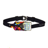 Spibelt Large Pocket Running Belt