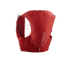 Salomon ADV SKIN 12L With Flasks AW24
